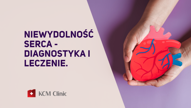 kardiologia serce