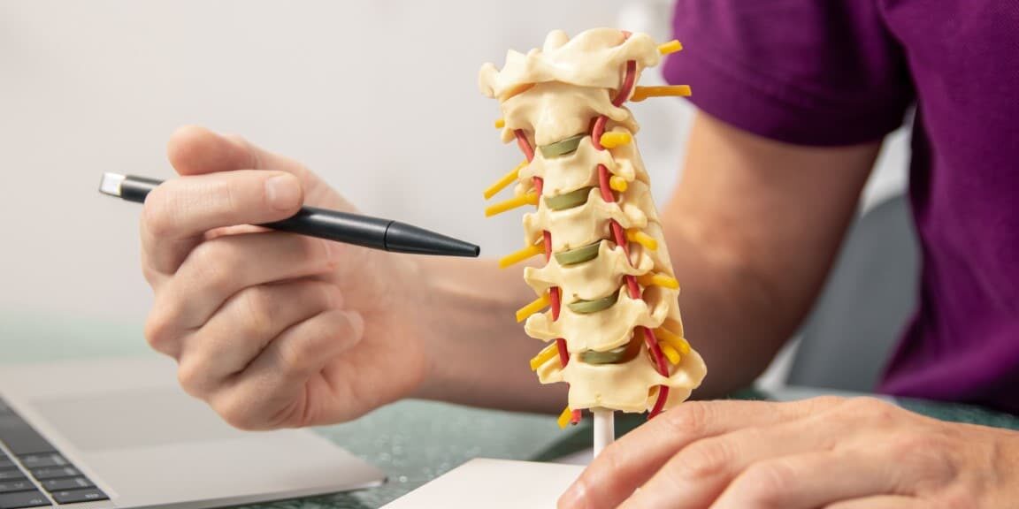 Osteopath explaining the function of the intervertebral discs on a model of the spine