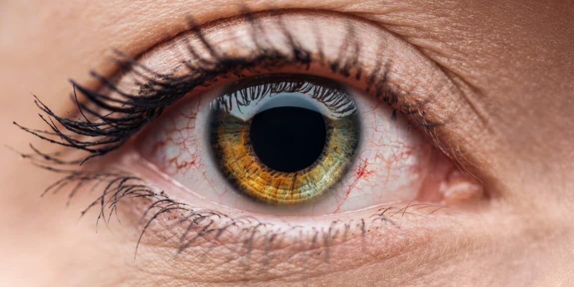 close up view of human brown and green colorful eye with eyelashes